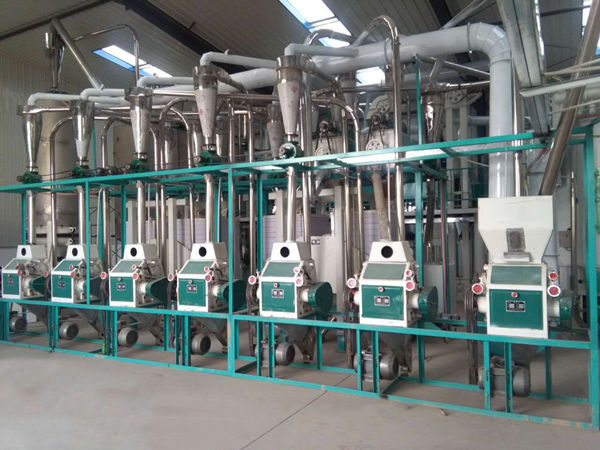 30T Maize Milling Plant Corn Processing Plant
