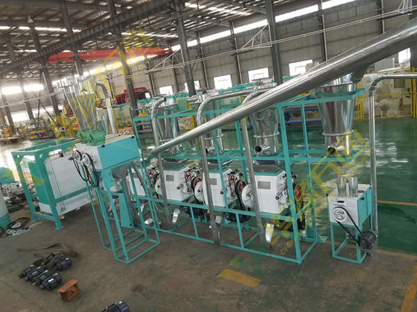 20Ton per day Maize Flour Mill Plant in Tanzania