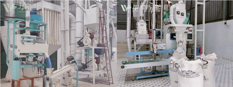 Maize milling plant for animal feed production