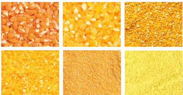 corn grits and flour production line.jpg