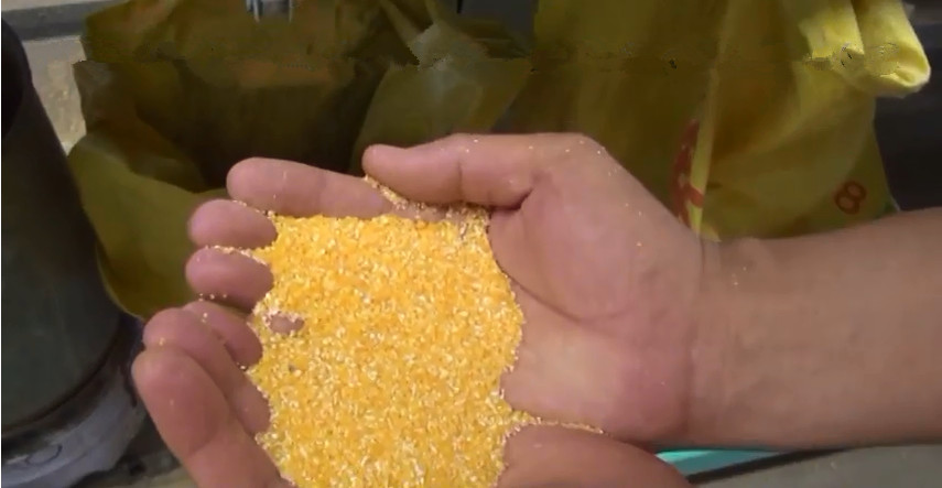 Corn Grits and Corn Flour Machine Set