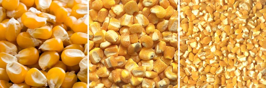corn peeling and polishing machine.jpg