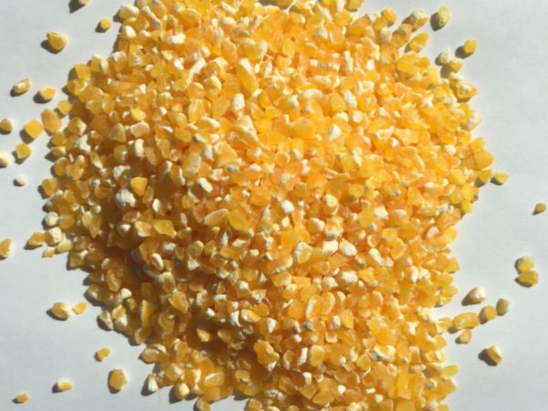 NF-280 500KG/H Electric Corn Peeling and Polishing Machine